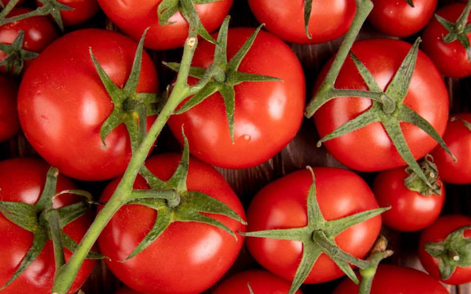 В Алтайском крае забраковали крупную партию казахстанских томатов - Новости Банкфакс, 23.03.2026