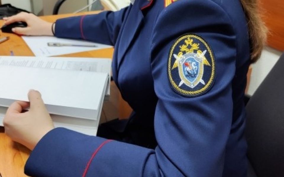 Юного новосибирца будут судить за помощь телефонным мошенникам в Алтайском крае - Новости Банкфакс, 29.04.2026