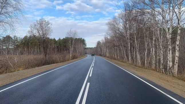 дорога в Алтайском крае