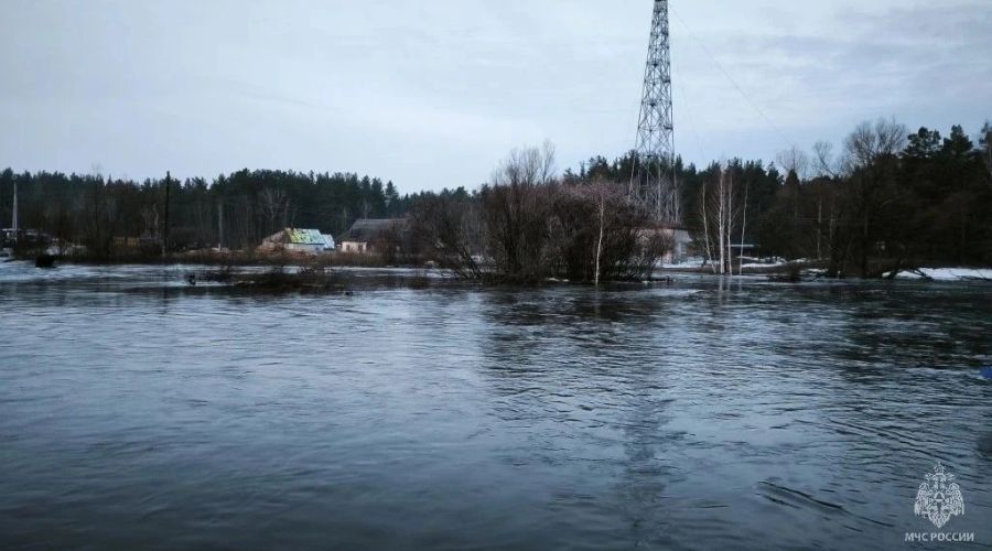 Паводок в Павловском районе
