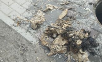 Никитина, 107