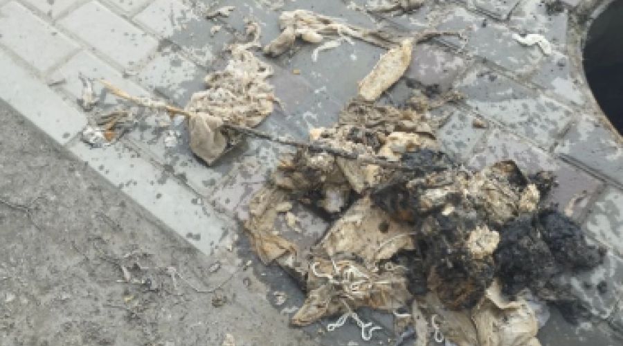 Никитина, 107