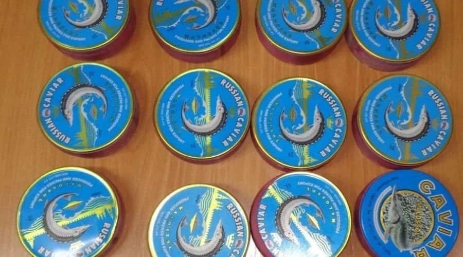 Изъятая икра