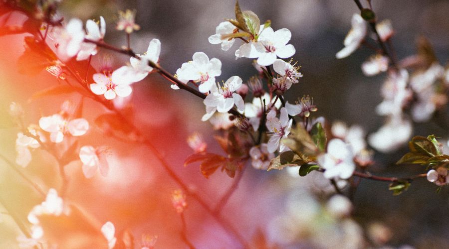 Теплая весна