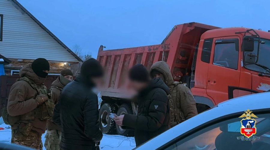 Ночные землекопы