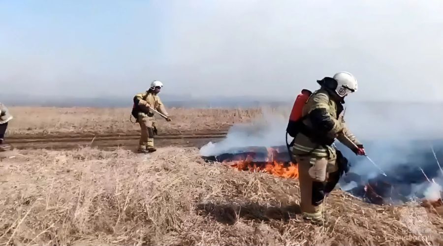 Бойцы МЧС тушат ландшафтный пожар близ садоводства «Зеленый клин» в Барнауле  