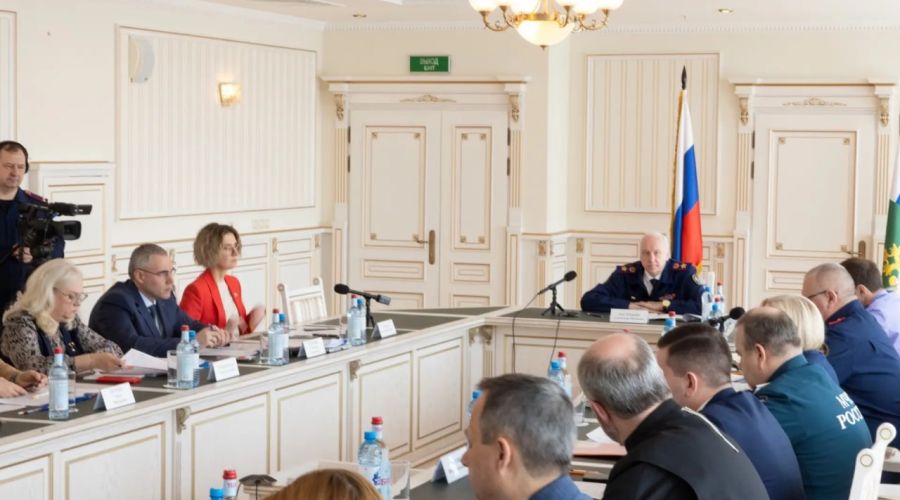 заседание Координационного совета СК России по вопросам оказания помощи детям, пострадавшим в результате гуманитарных катастроф, стихийных бедствий, терактов и вооруженных конфликтов