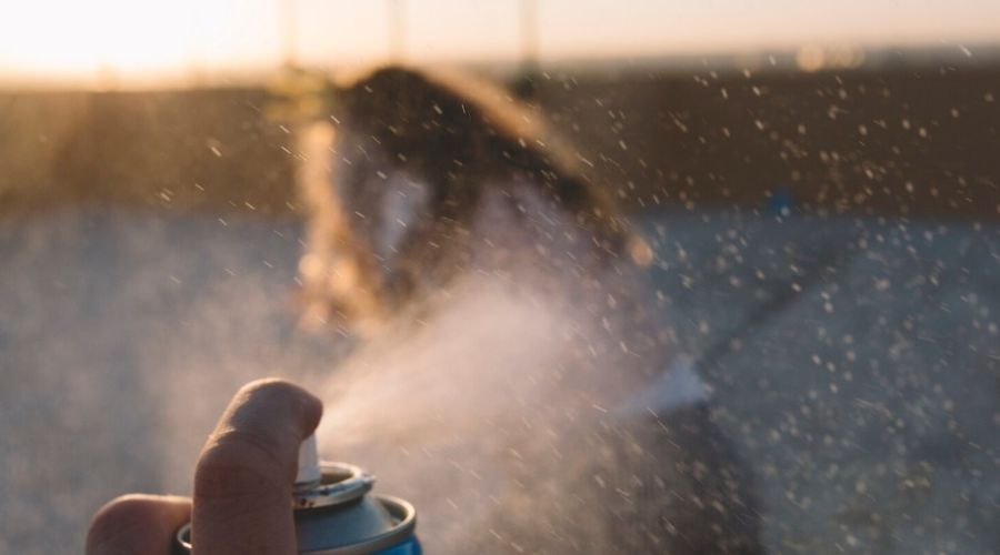 Школьник распылил перцовку