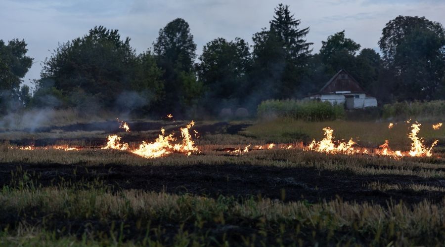 Ландшафтный пожар