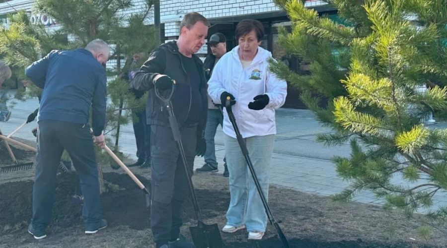 Вячеслав Франк поучаствовал в посадках деревьев на аллее по улице 65 лет Победы, 1
