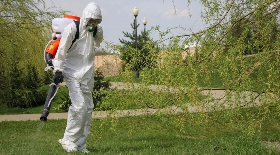 обработка пространств от клещей