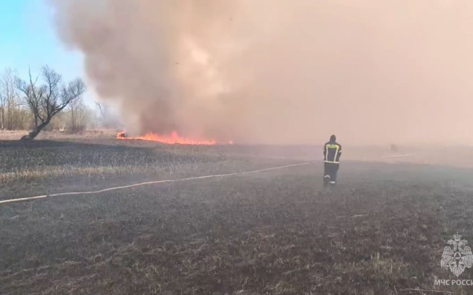 В пригороде Барнаула тушат крупный пожар на полях - Новости Банкфакс, 29.04.2026