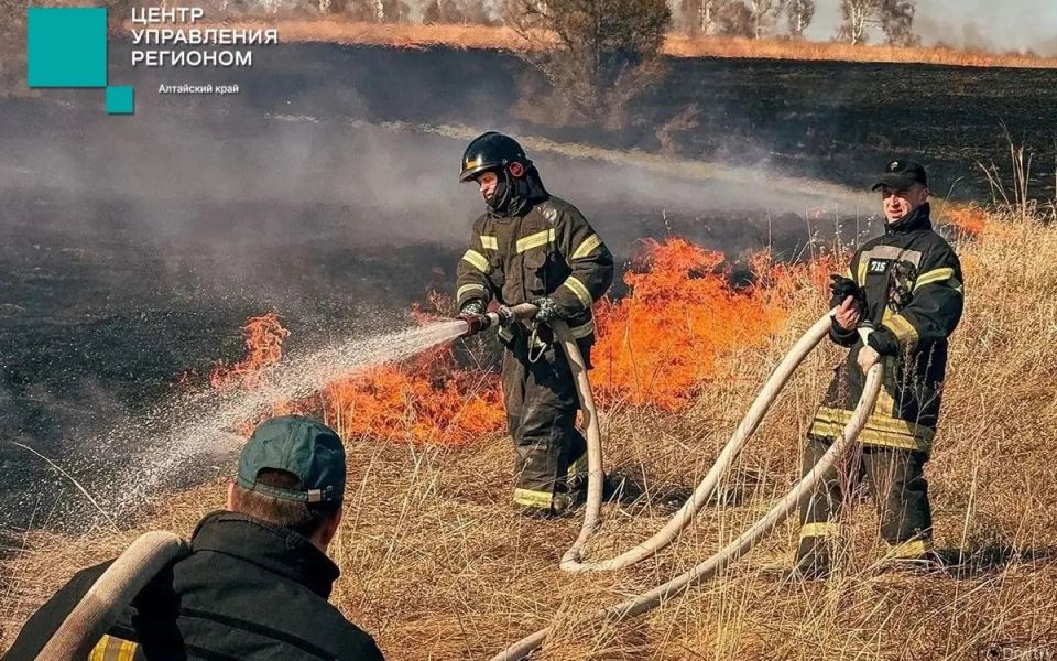 В Алтайском крае сохраняется высокая пожароопасность - Новости Банкфакс, 08.05.2026