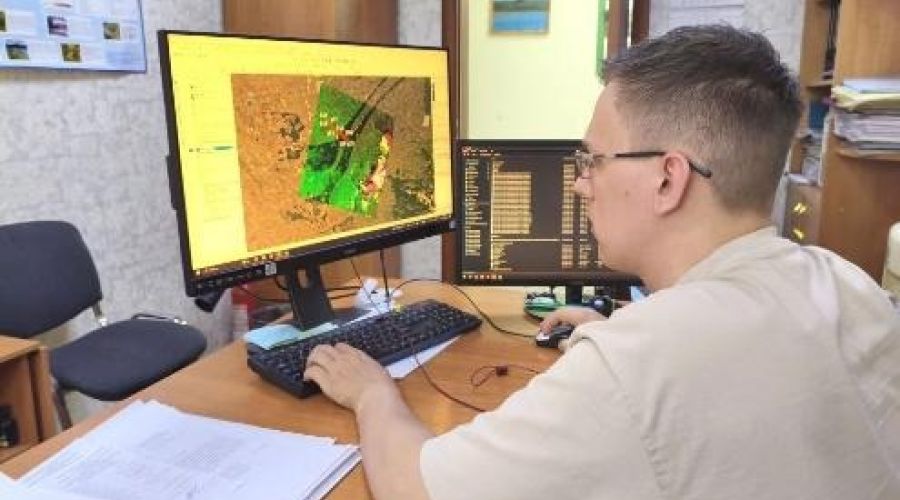 Мониторинг лесов из космоса в Алтайском крае