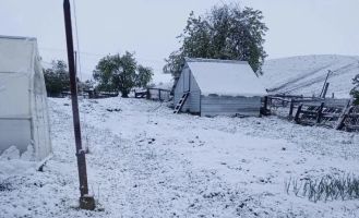 Солонешенский район в мае