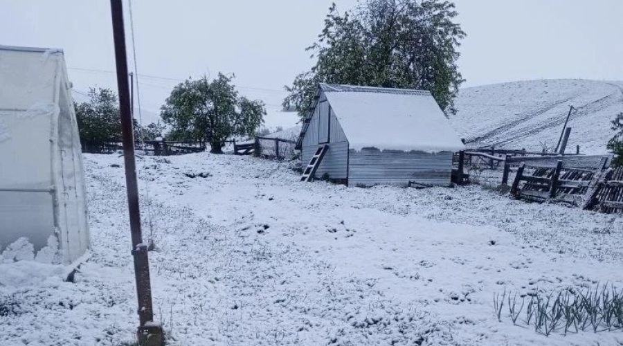 Солонешенский район в мае