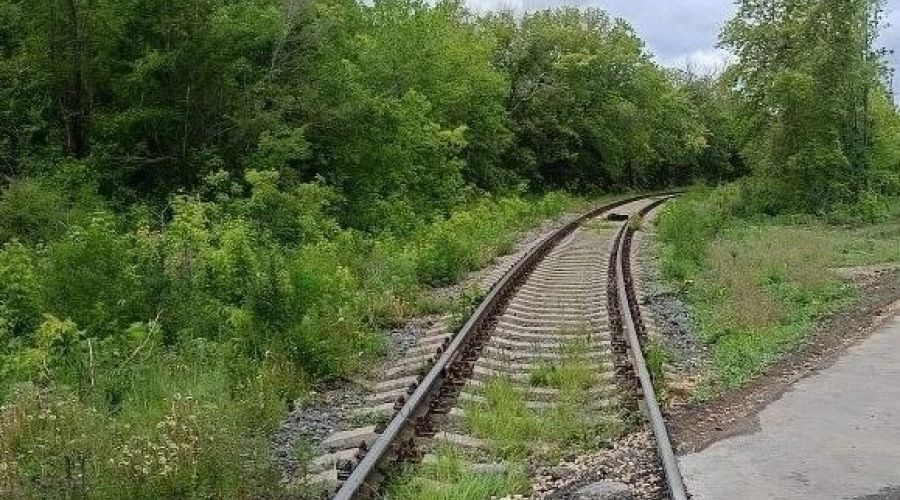 станция Рубцовск