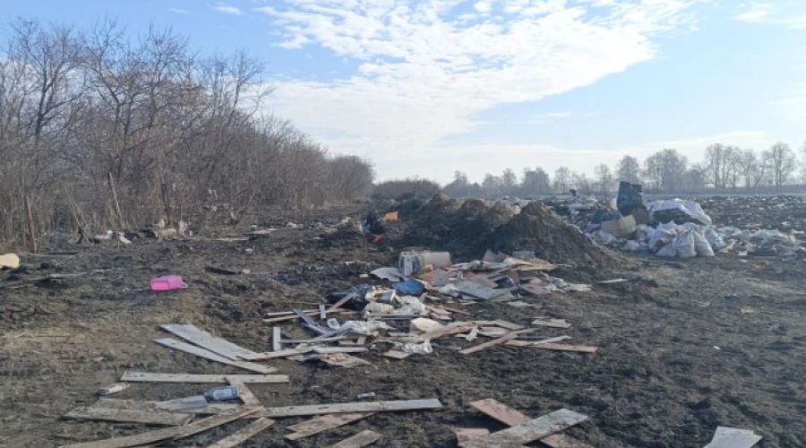 на полигоне весной