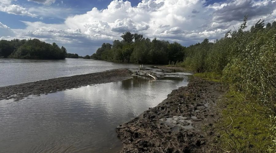 место, где утонул ребенок в Смоленском районе