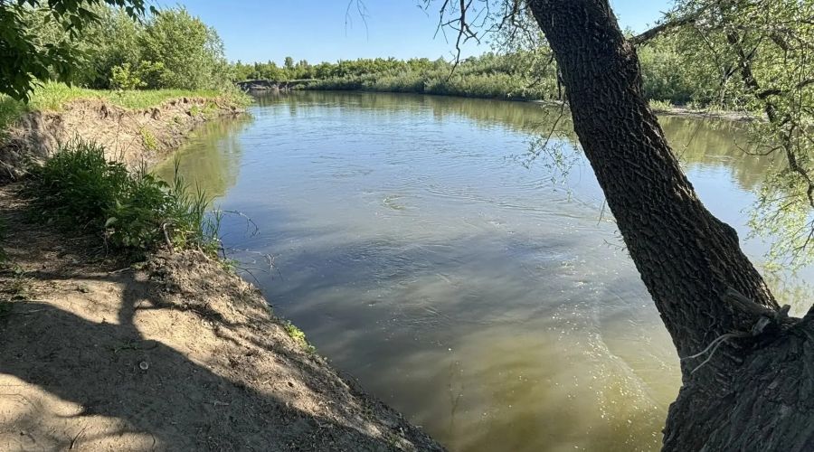 утонул ребенок
