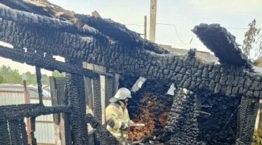 Пожар в Затоне