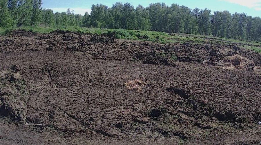 свалка под ЗАТО Сибирский