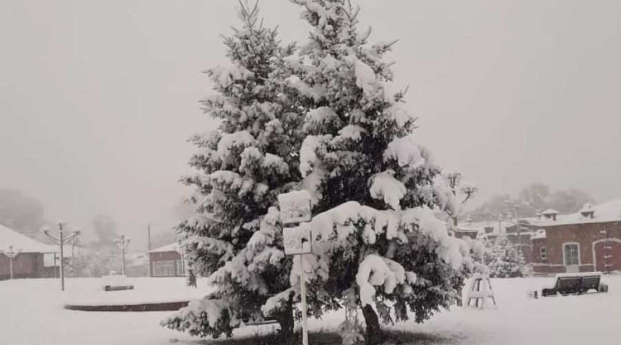 И принес туда зимнюю сказку