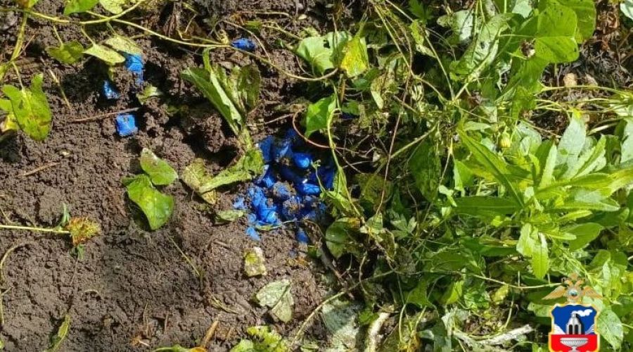 Двое наркокурьеров, один из которых при задержании в Барнауле ранил полицейского, заключены под стражу