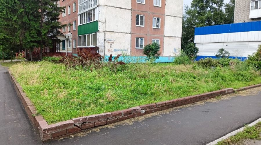 Зеленый угололок рядом с зоопарком