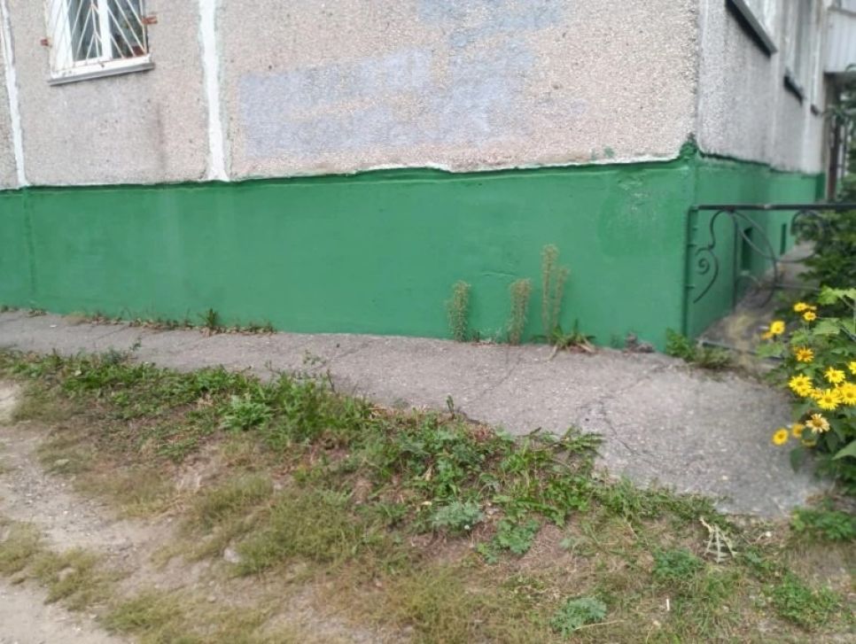 Поросшая травой отмостка