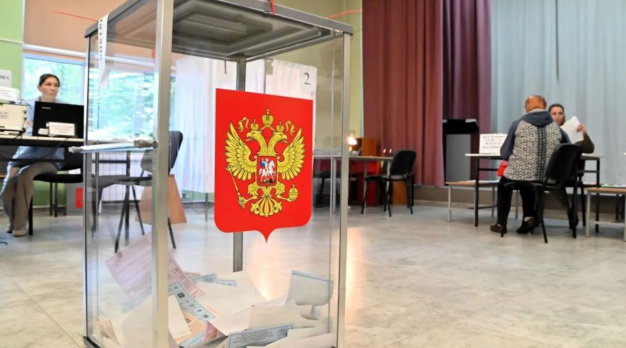 выборы
