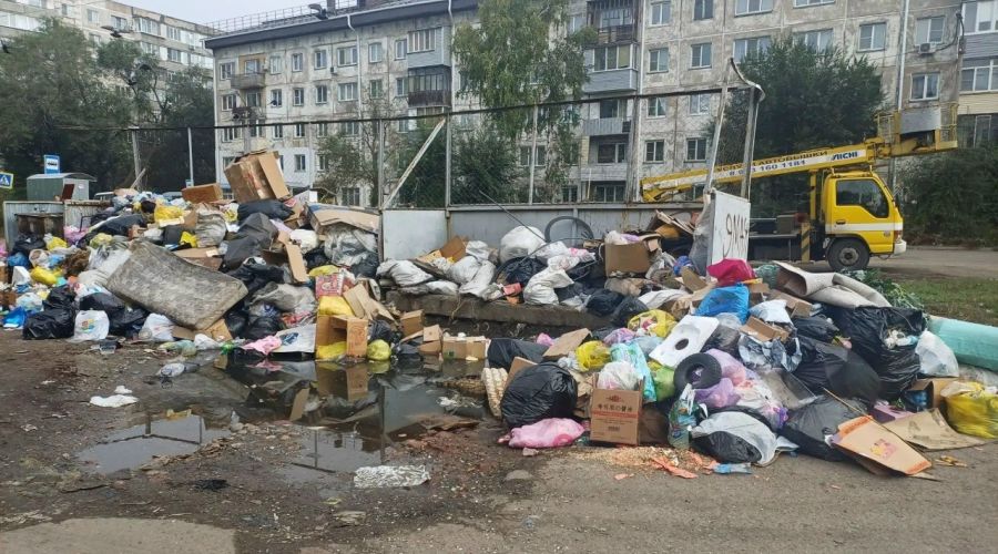 помойка