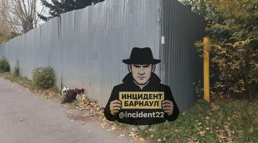 Следком разбирается в гибели подростка от удара о металлический забор в барнаульском поселке