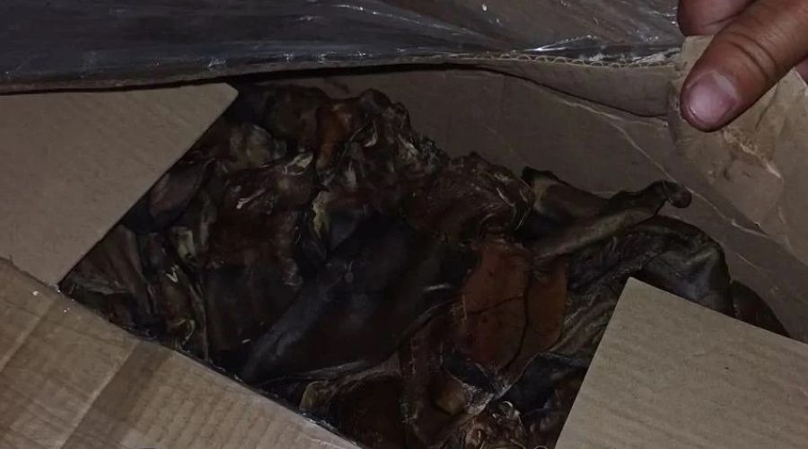 Партию сушеных говяжьих ушей с нарушениями не пустили в Алтайский край
