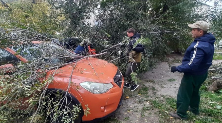 последствия ветра