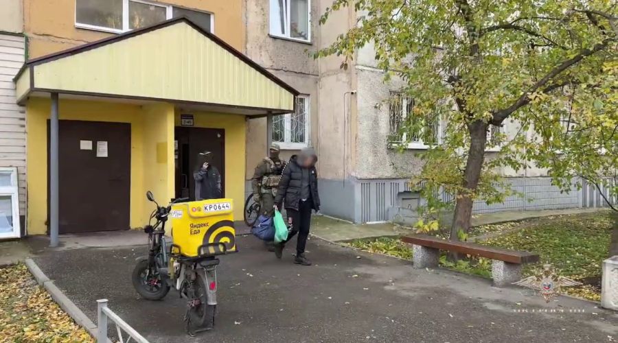 Барнаульский хакер «сгенерировал» с помощью нейросети кибератаку на известную пиццерию