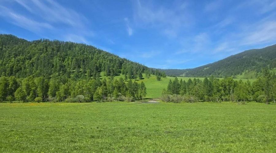 земли в Шебалинском районе