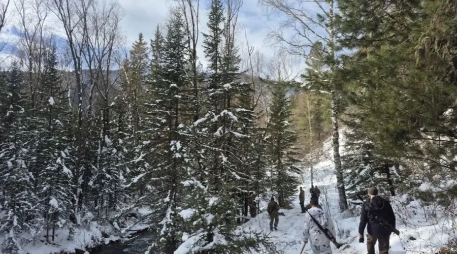 Поиски пропавшего Игоря Большакова в Республике Алтай