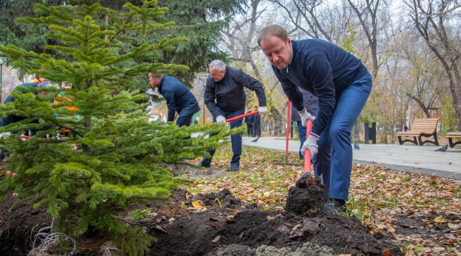 Посадки в Изумрудном парке