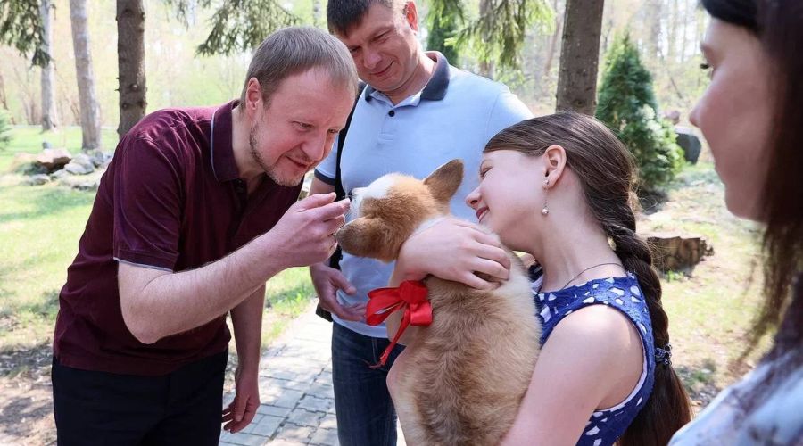 Собака от губернатора