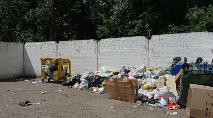 Очередной завал мусора в Рубцовске