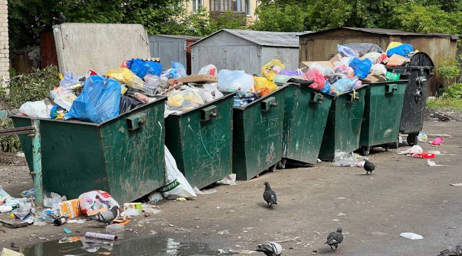 Мусор в Рубцовске