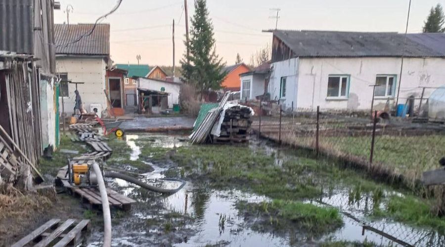 Паводок Лебяжье и Борзовая Заимка