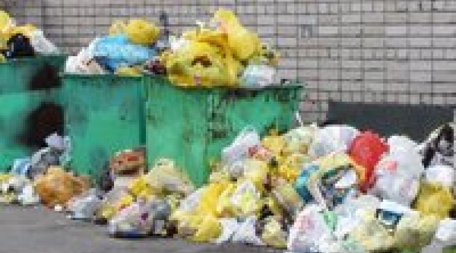 С чего начинается Родина по версии алтайских общественников