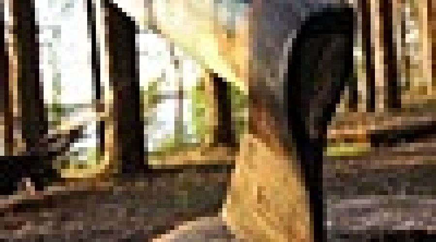 «Заслуженные лесоводы» Алтайского края пожаловались Путину на «Грибкова и его команду»: их лозунги некомпетентны, а обвинения — беспочвенны