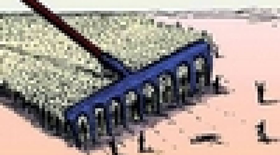 «Закон сообщающихся сосудов»: алтайские политики прокомментировали оптимизацию краевой исполнительной власти