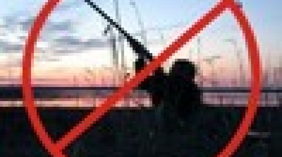 Алтайские экологи продолжают кампанию против весенней охоты