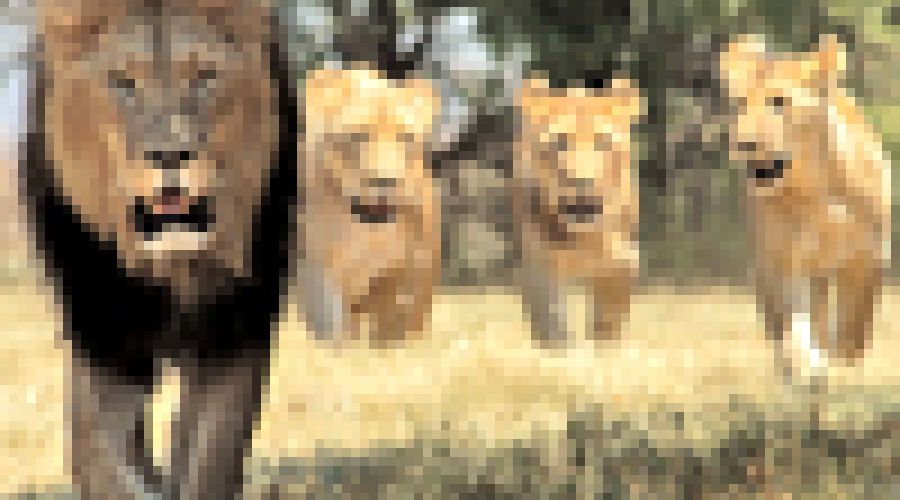 Общественники<span style=