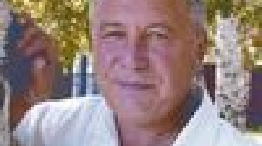 Мобилизованные и призванные