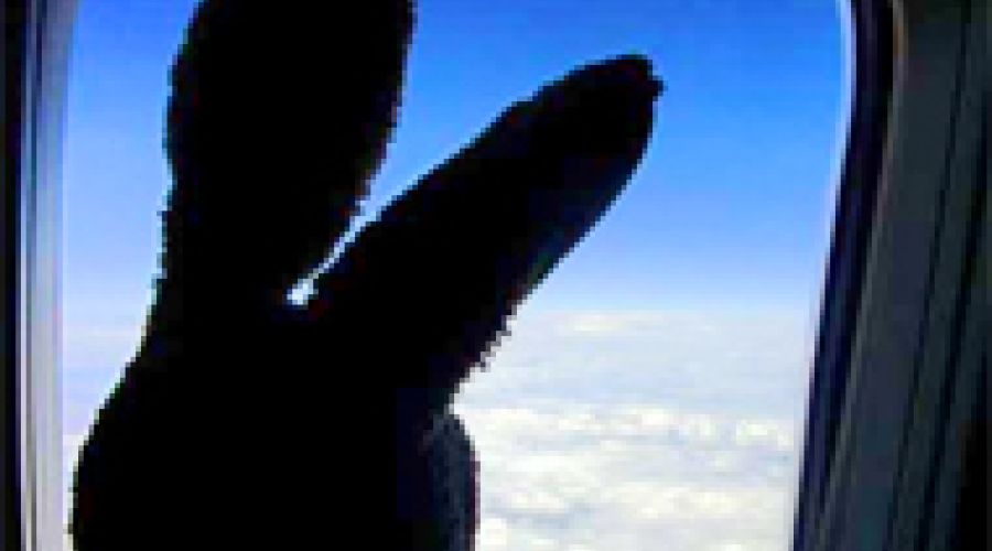 Александр Карлин отправил «зайцев» в Турцию